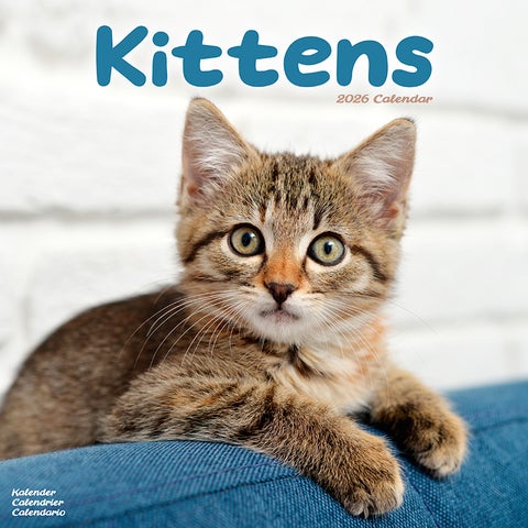 Kalender 2026 Kittens 30x30cm