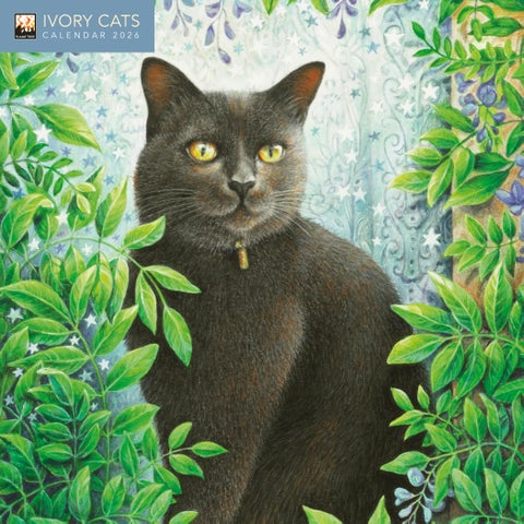 Kalender 2026 Ivory Cats 18x18cm