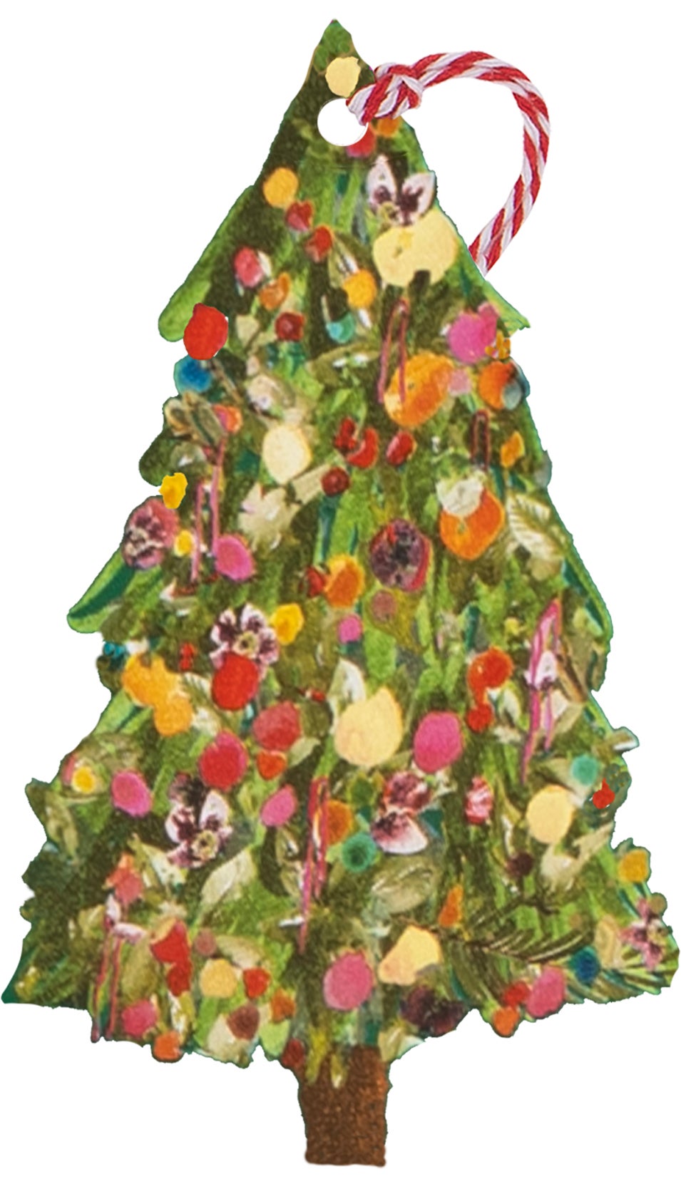 Gavemerkelapper 6pk Exquisite Evergreen