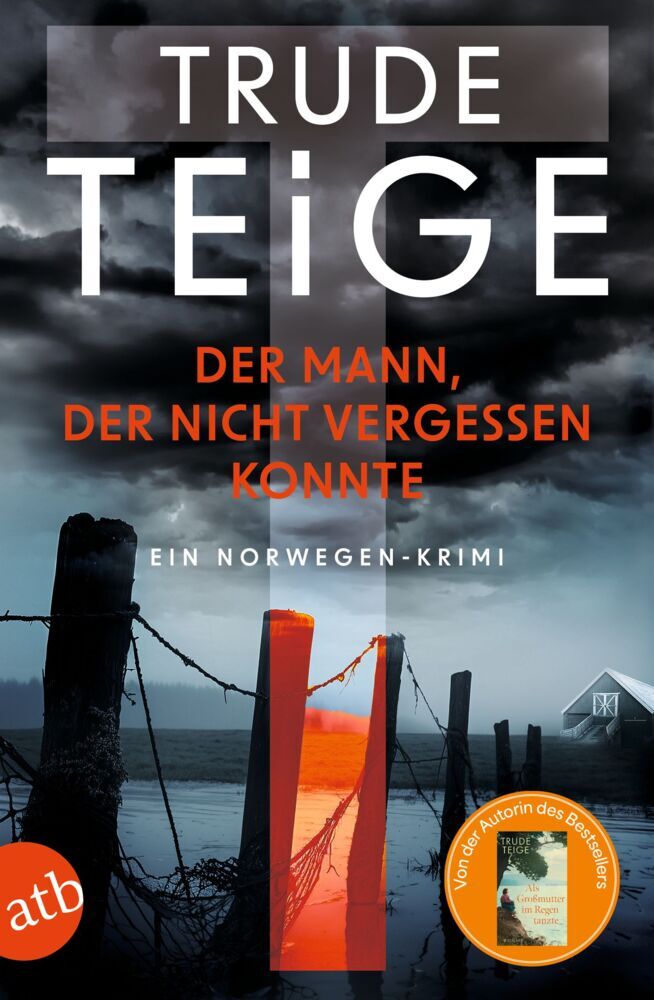 Der Mann, der nicht vergessen konnte - Ein Norwegen-Krimi