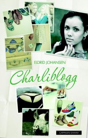 Charliblogg - roman