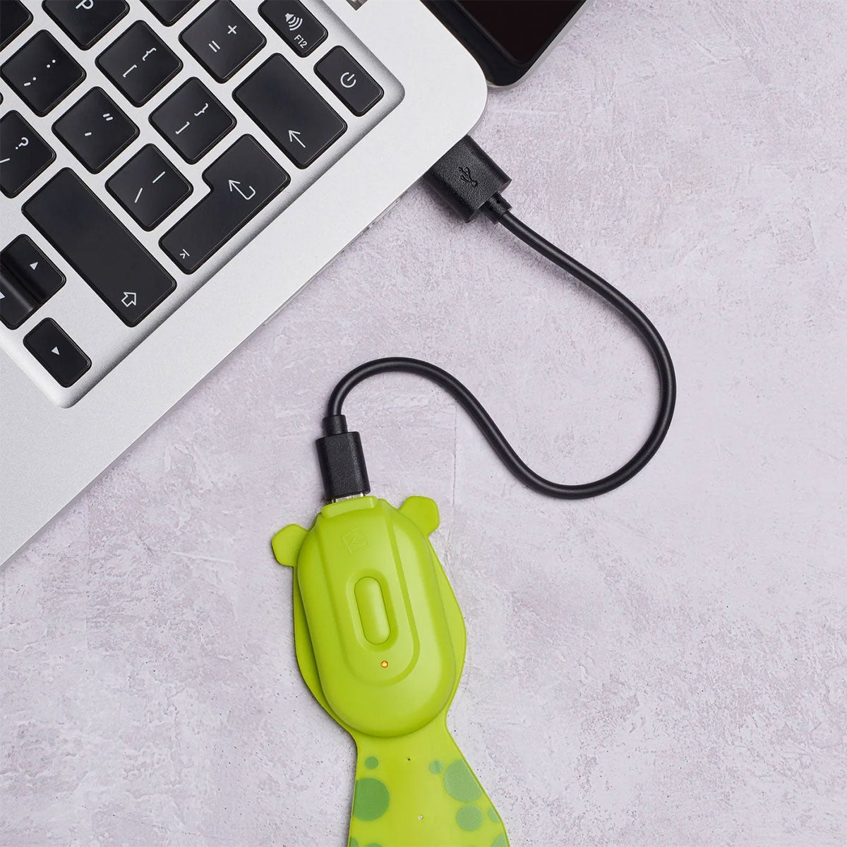 Boklys Flexilight Rechargeable Pals Frog