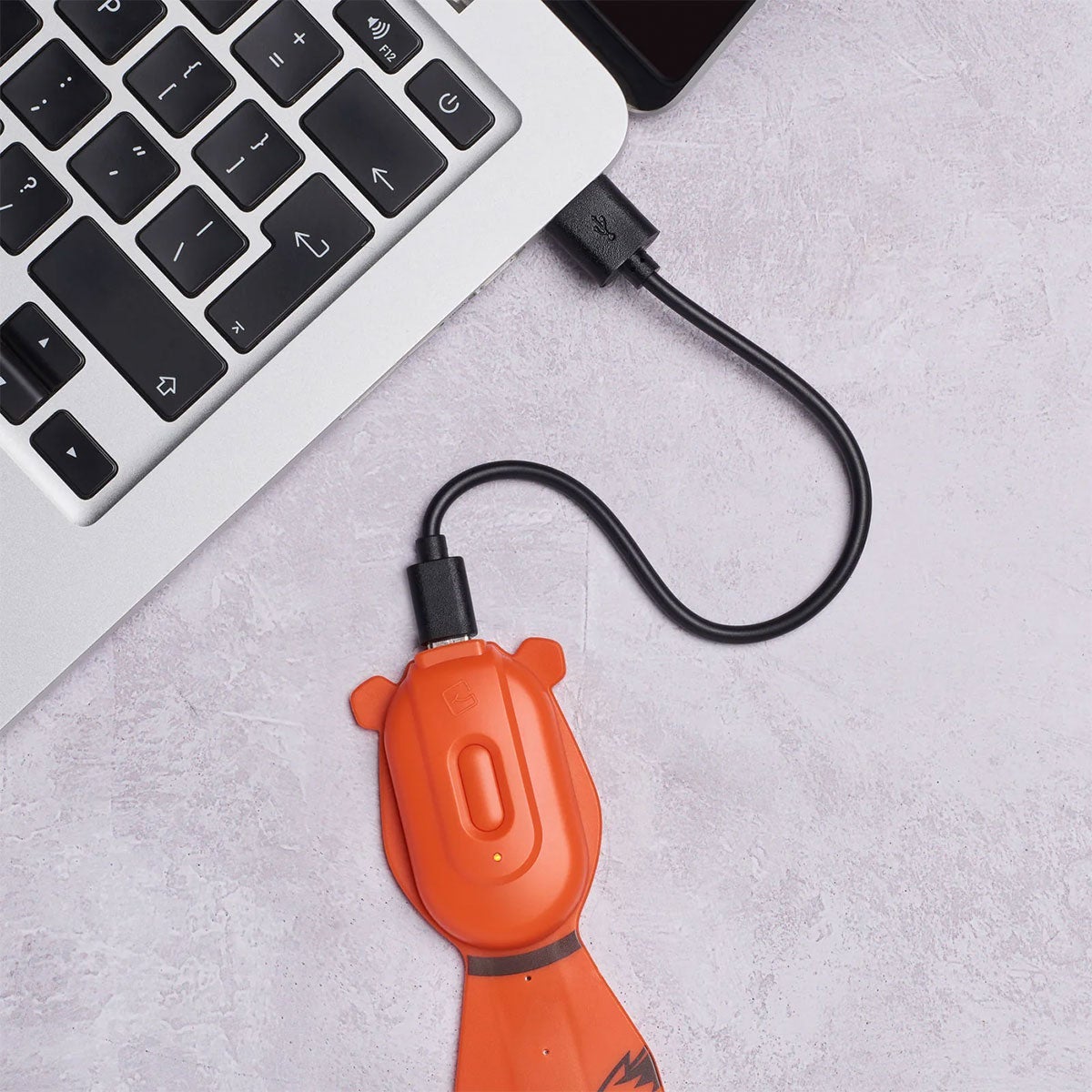 Boklys Flexilight Rechargeable Pals Fox