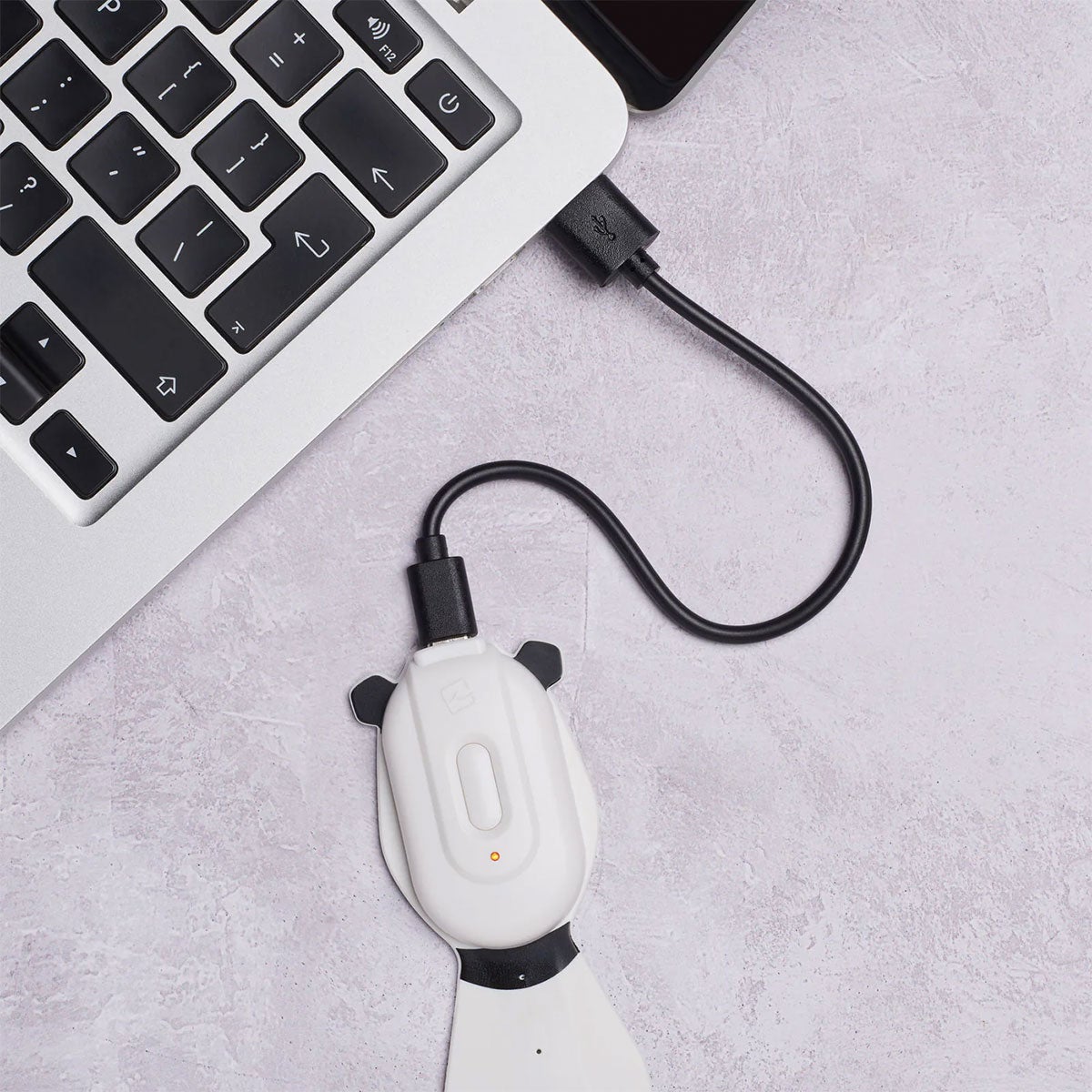 Boklys Flexilight Rechargeable Pals Panda
