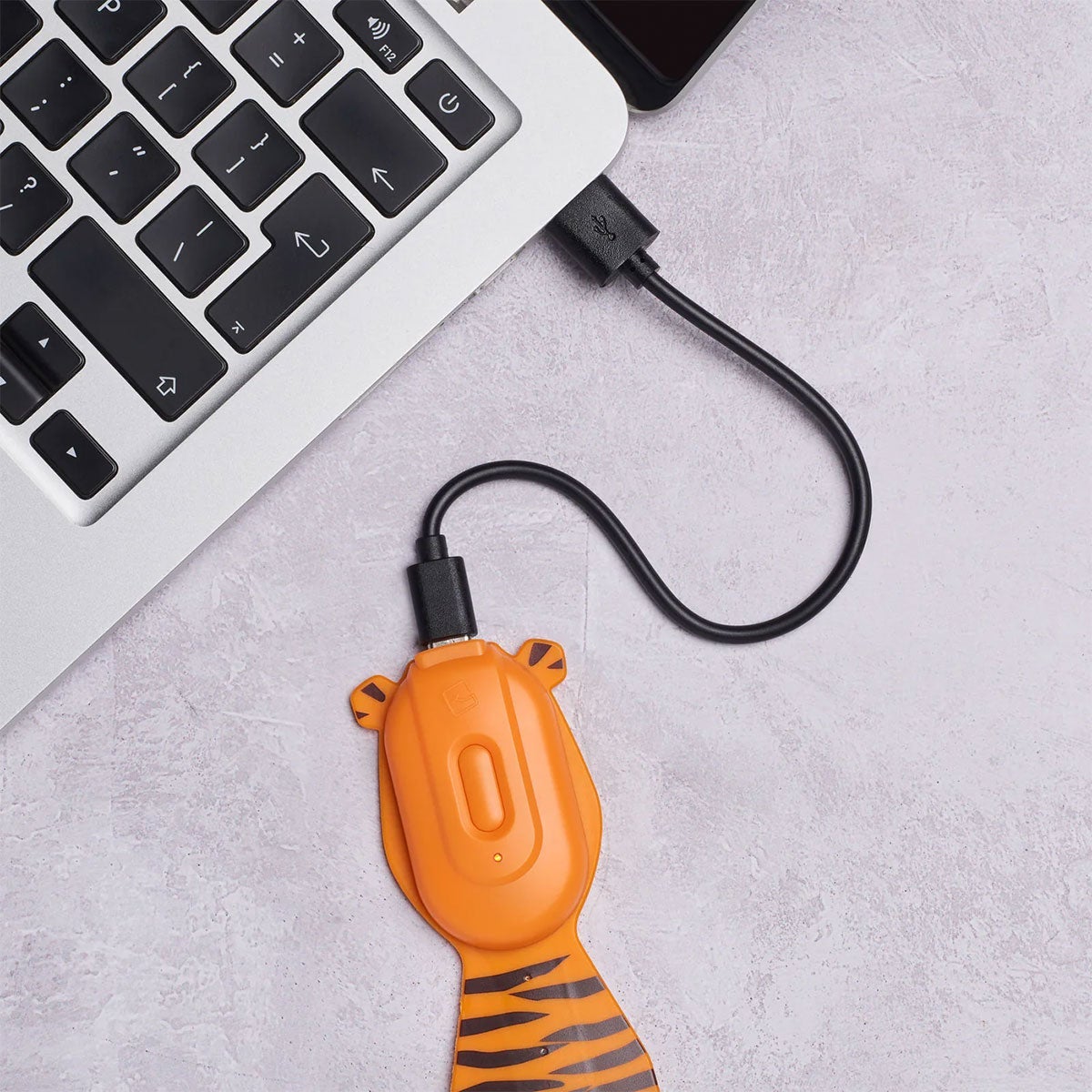 Boklys Flexilight Rechargeable Pals Tiger