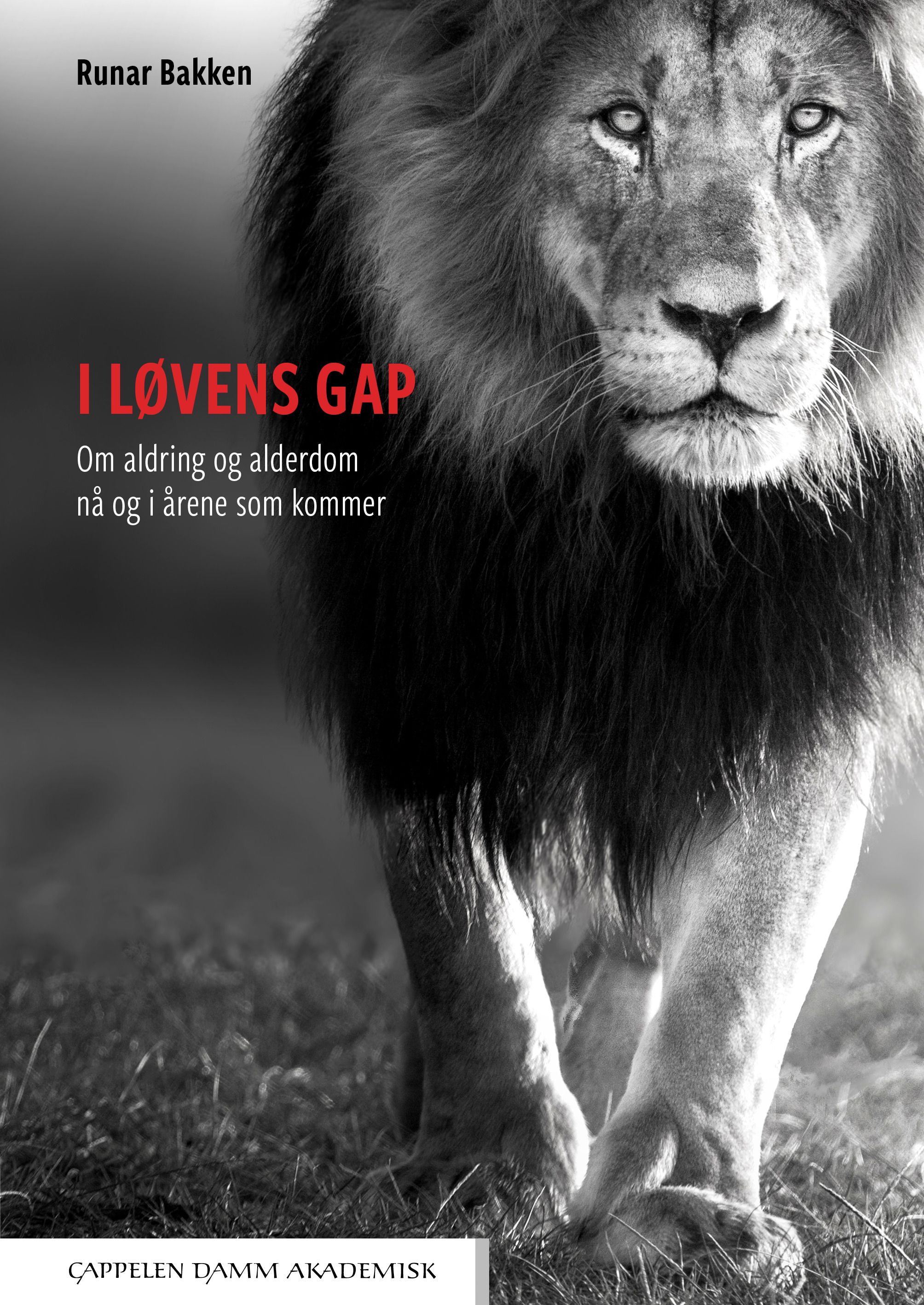 I løvens gap - om aldring og alderdom nå og i årene som kommer