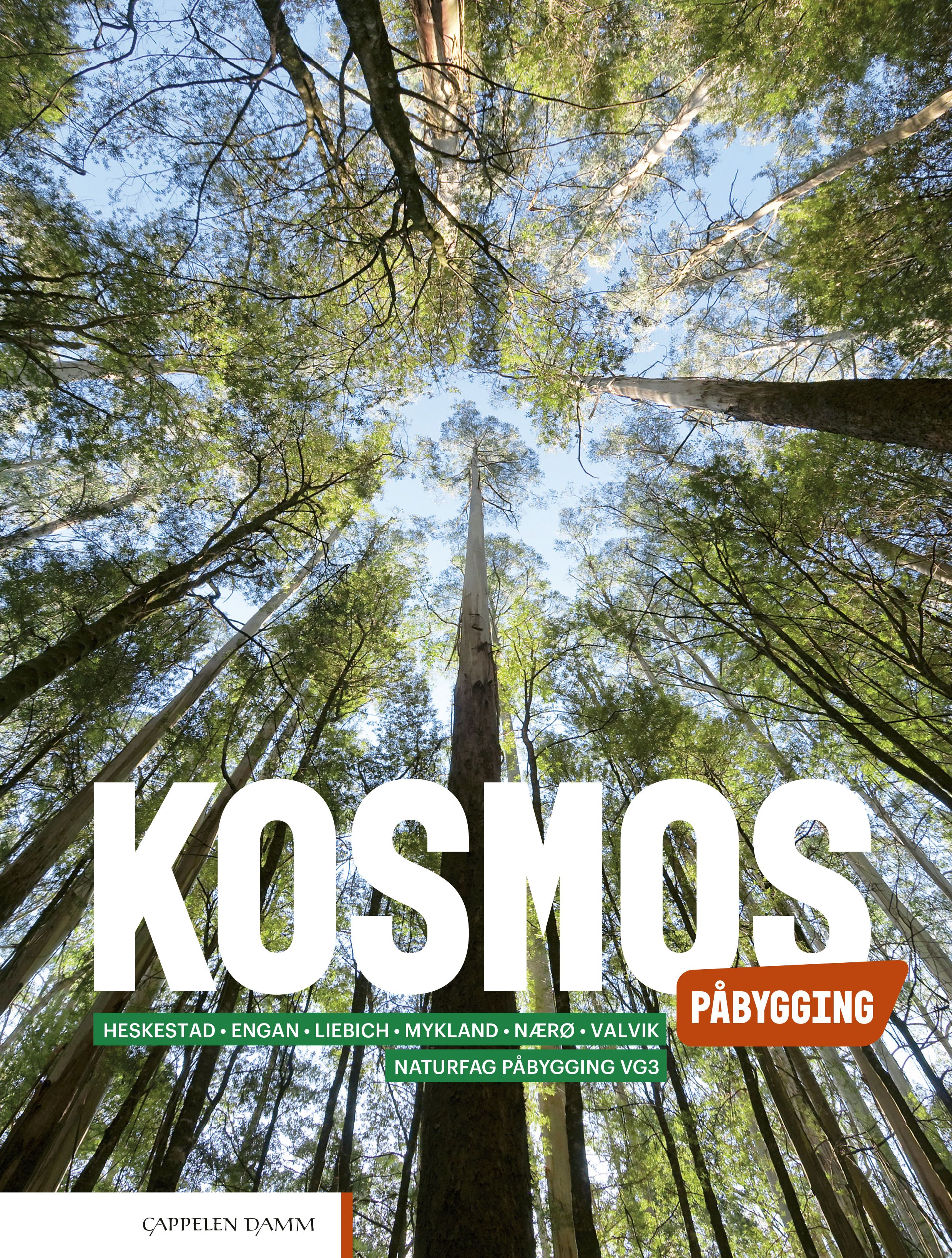 Kosmos påbygging Unibok
