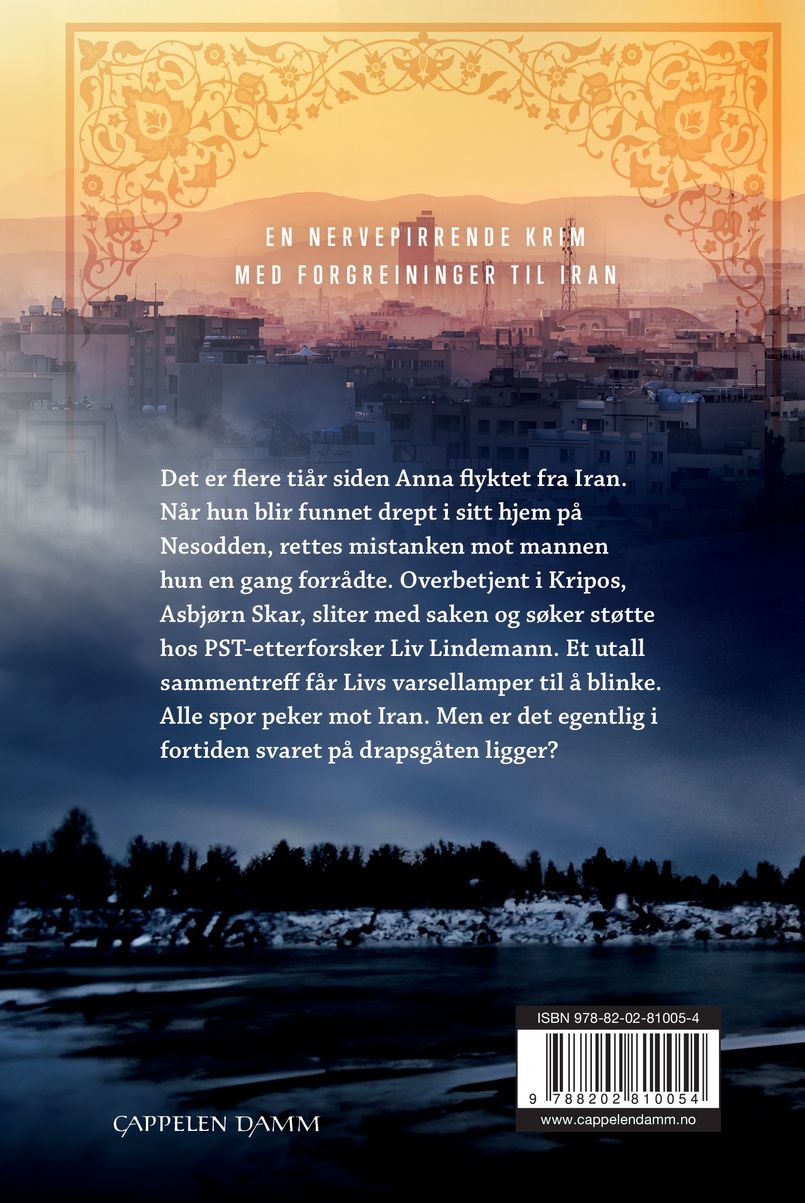 Skyggeadvokaten