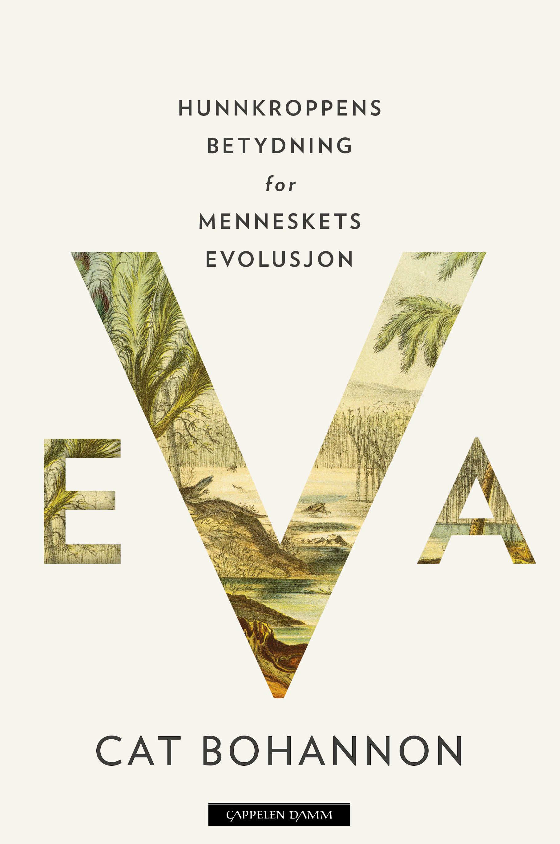 Eva - hunnkroppens betydning for menneskets evolusjon