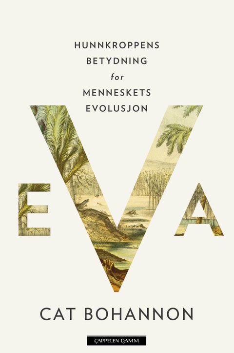 Eva - hunnkroppens betydning for menneskets evolusjon