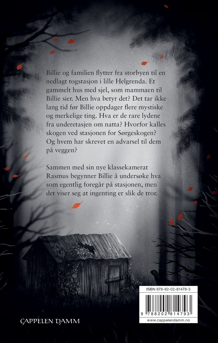 Spøkelsesstasjonen