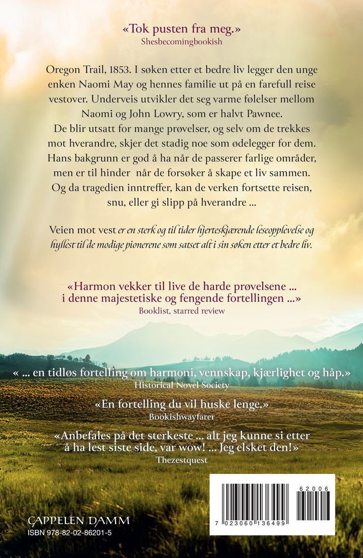 Veien mot vest