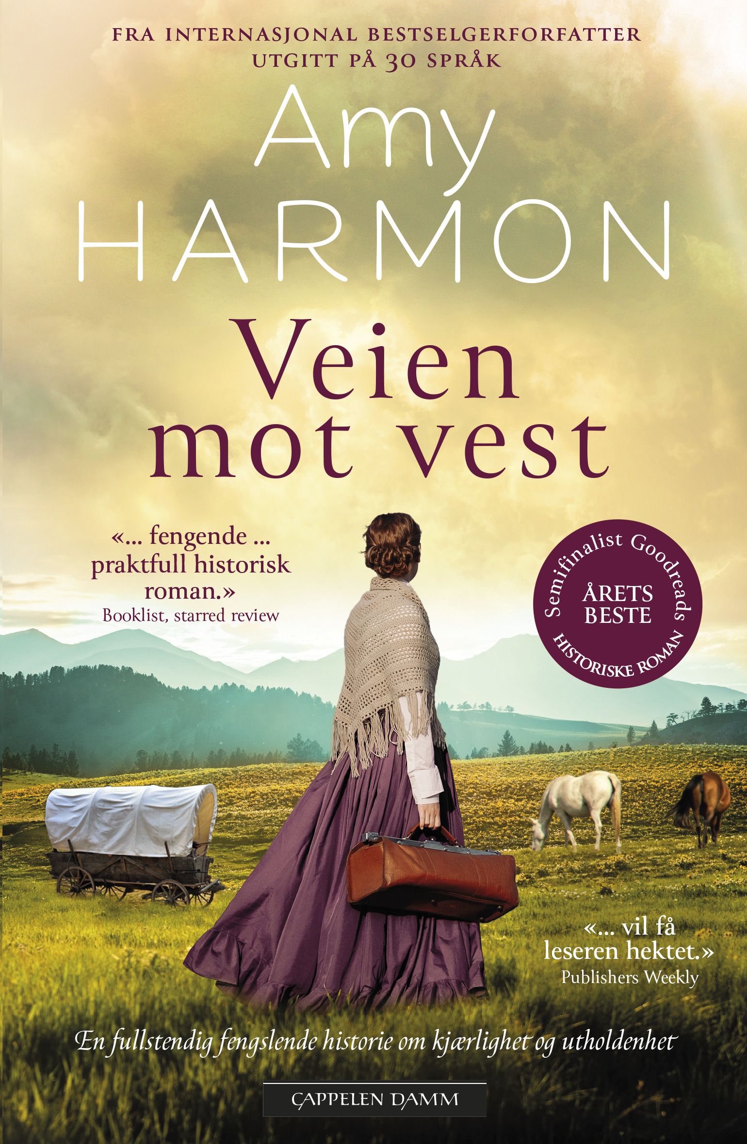Veien mot vest