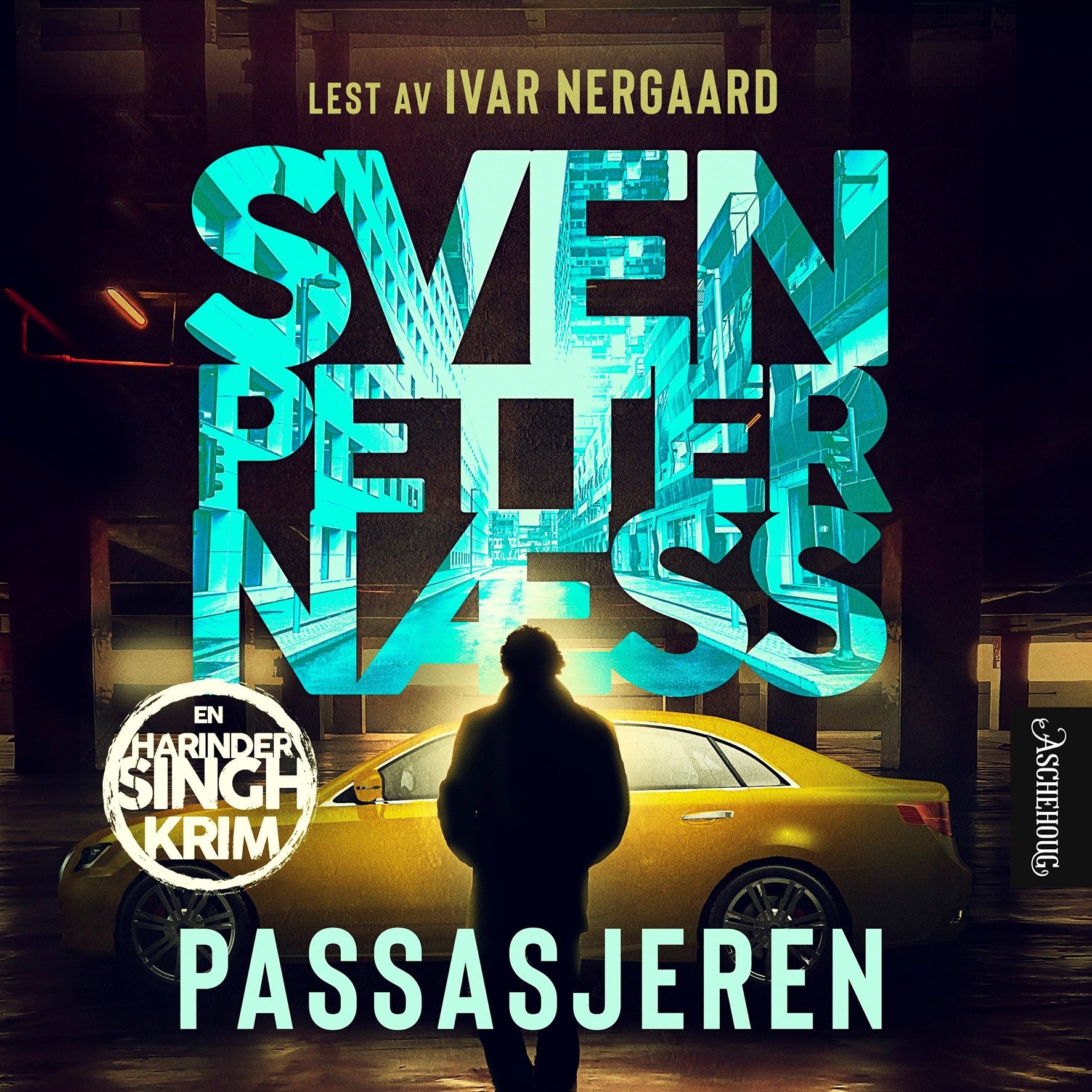 Passasjeren - kriminalroman