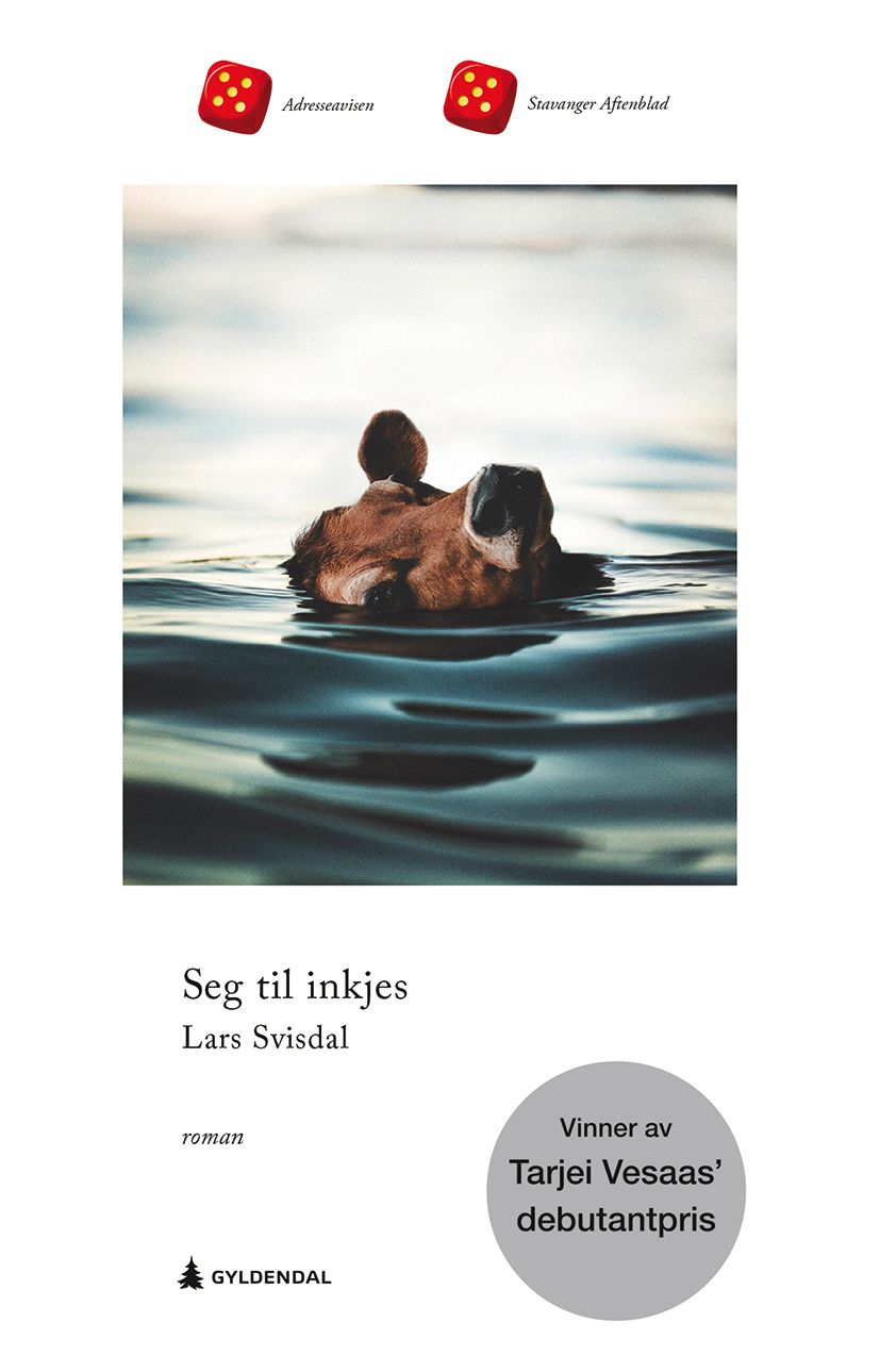 Seg til inkjes - roman