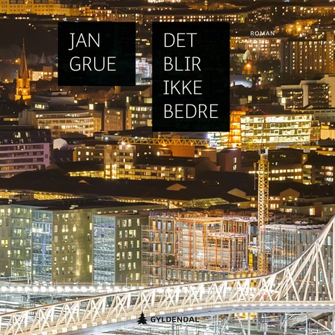 Det blir ikke bedre - roman