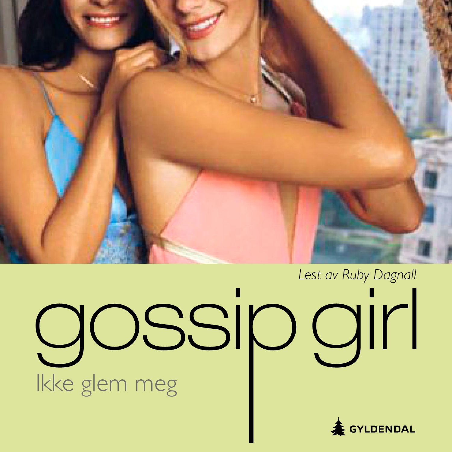 Ikke glem meg - en gossip girl roman