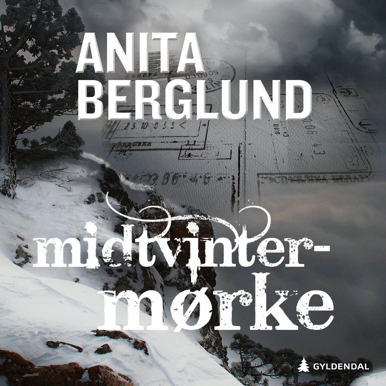 Midtvintermørke - kriminalroman