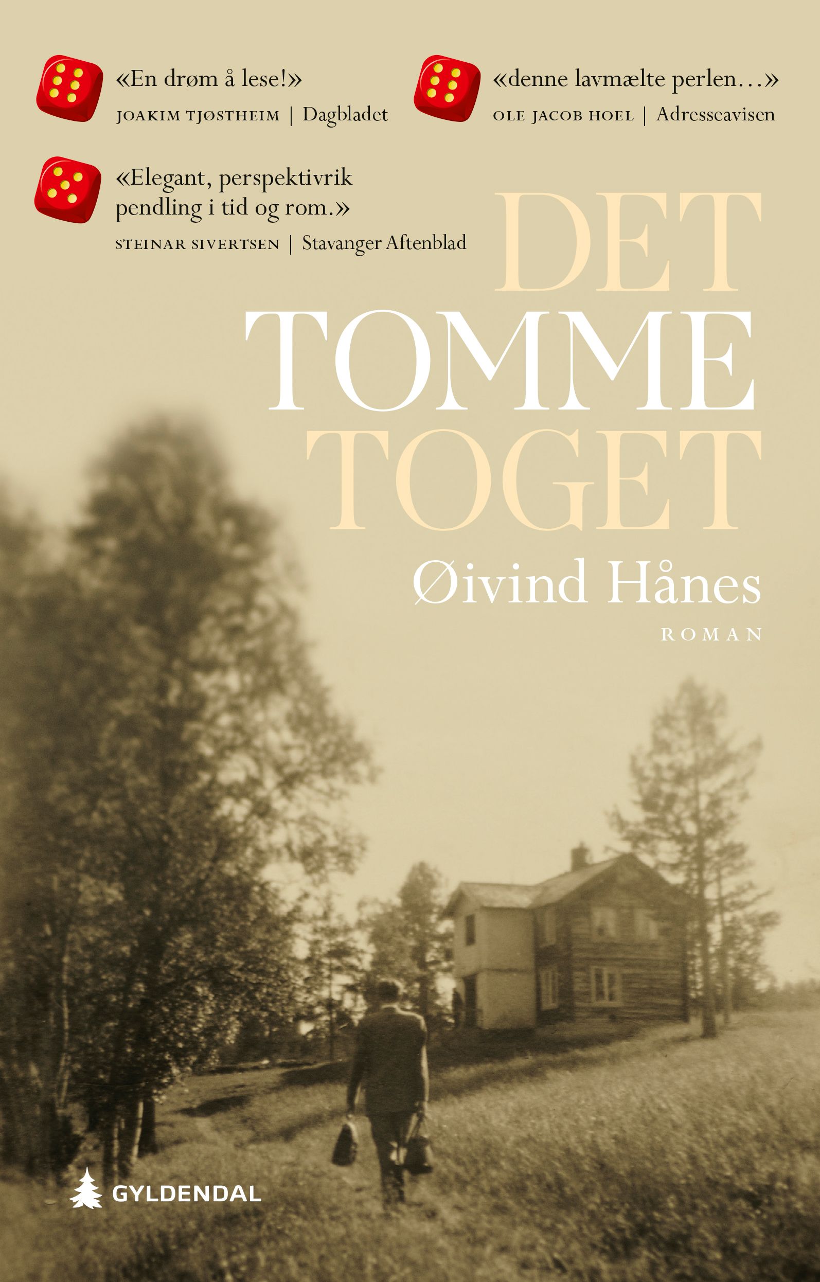 Det tomme toget - roman