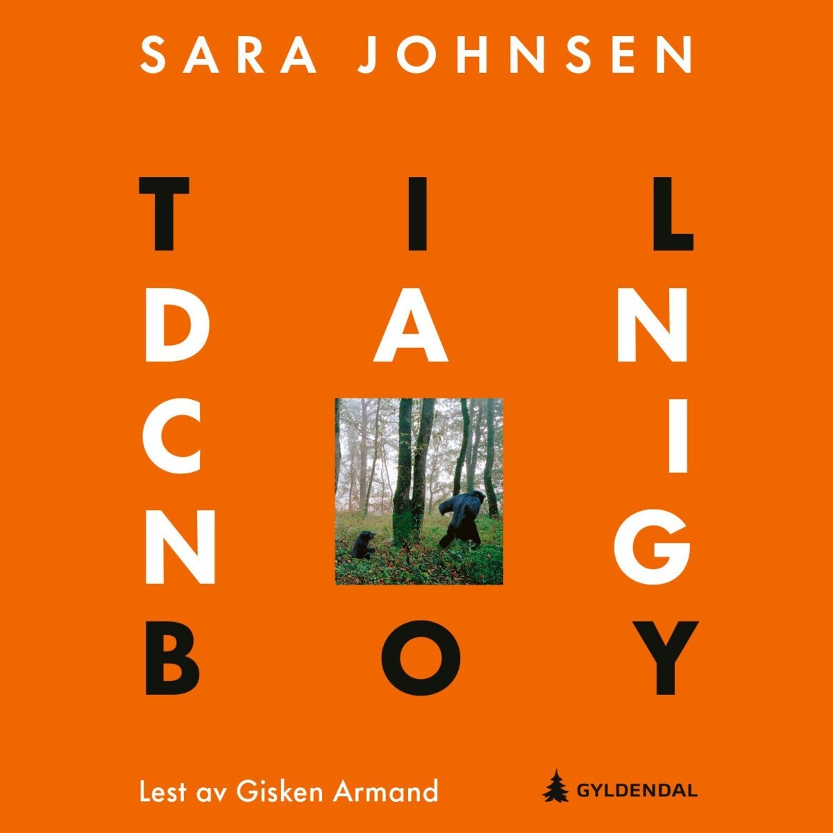 Til dancing boy