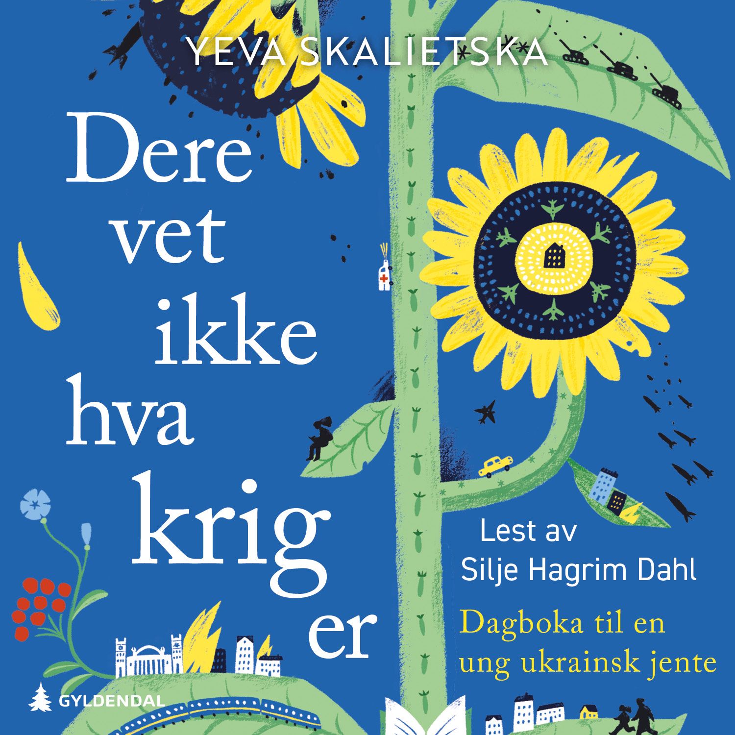 Dere vet ikke hva krig er - dagboka til en ung ukrainsk jente