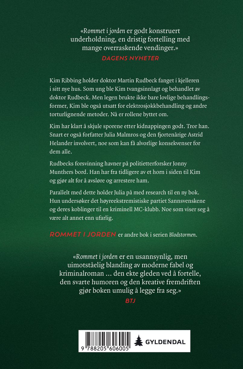 Rommet i jorden