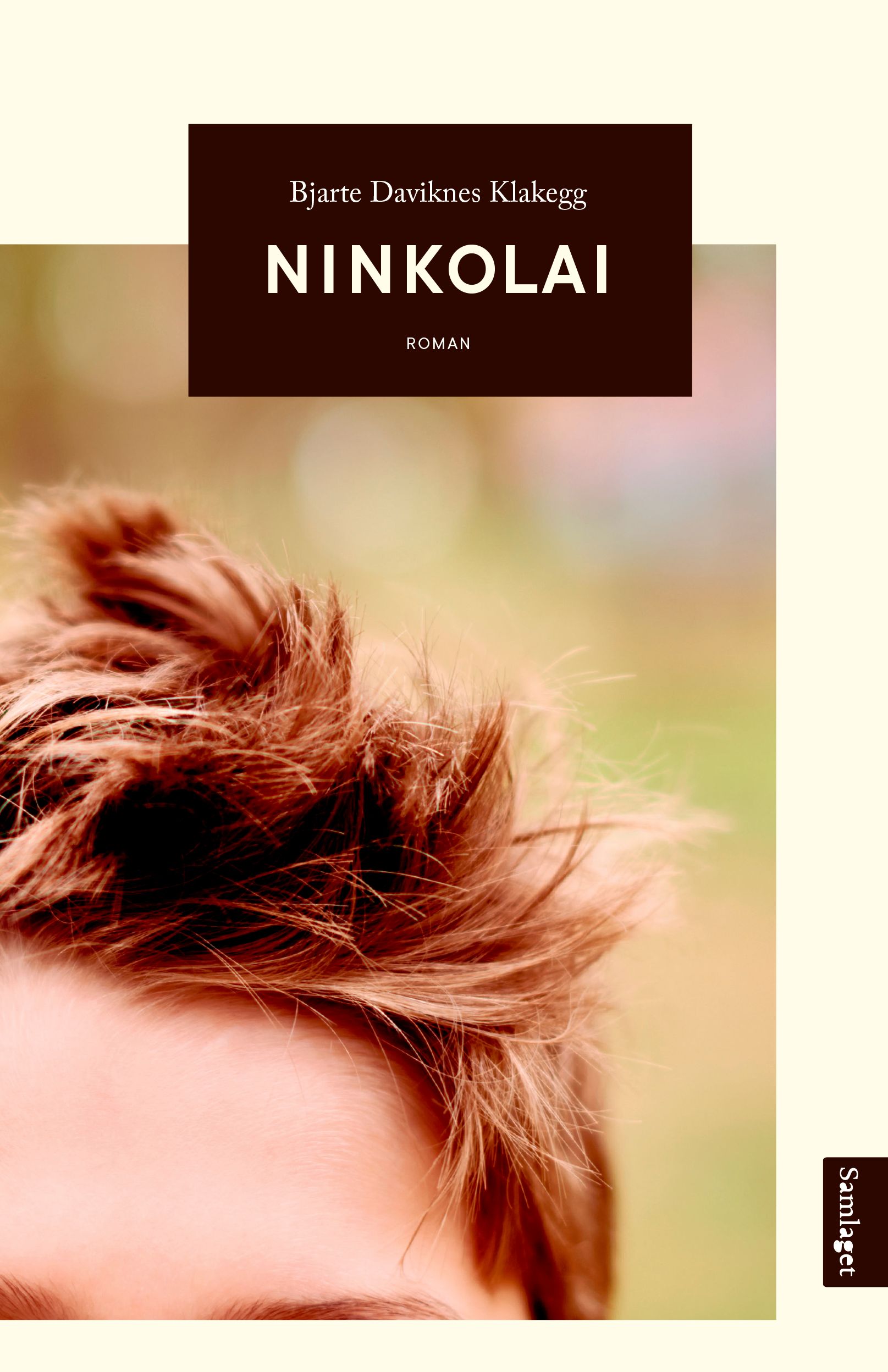 Ninkolai - roman