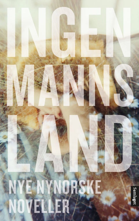 Ingenmannsland - nye nynorske noveller