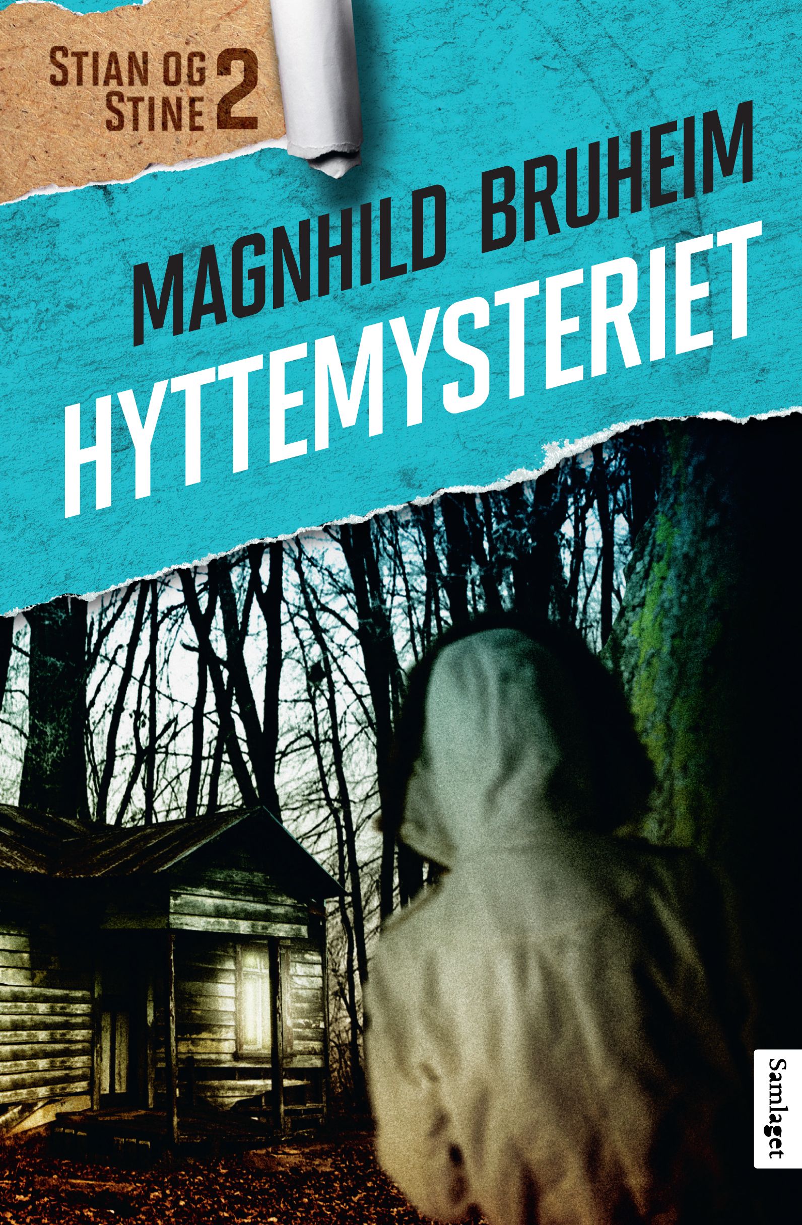 Hyttemysteriet - roman