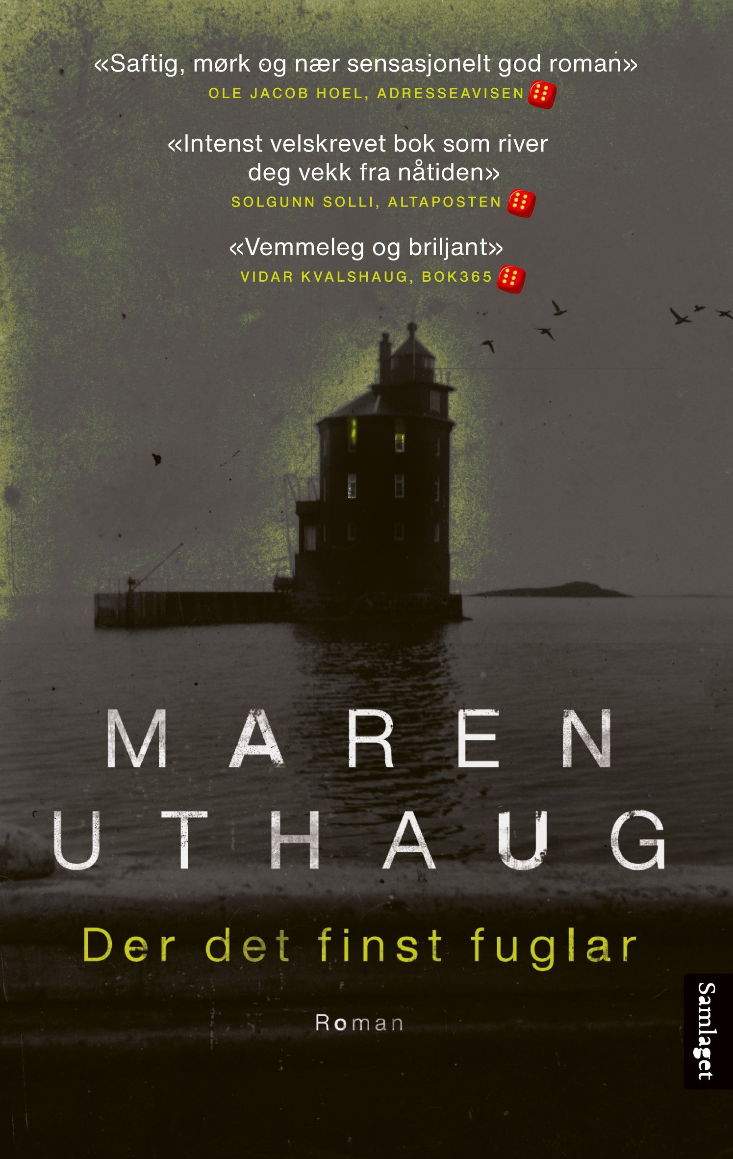 Der det finst fuglar - roman