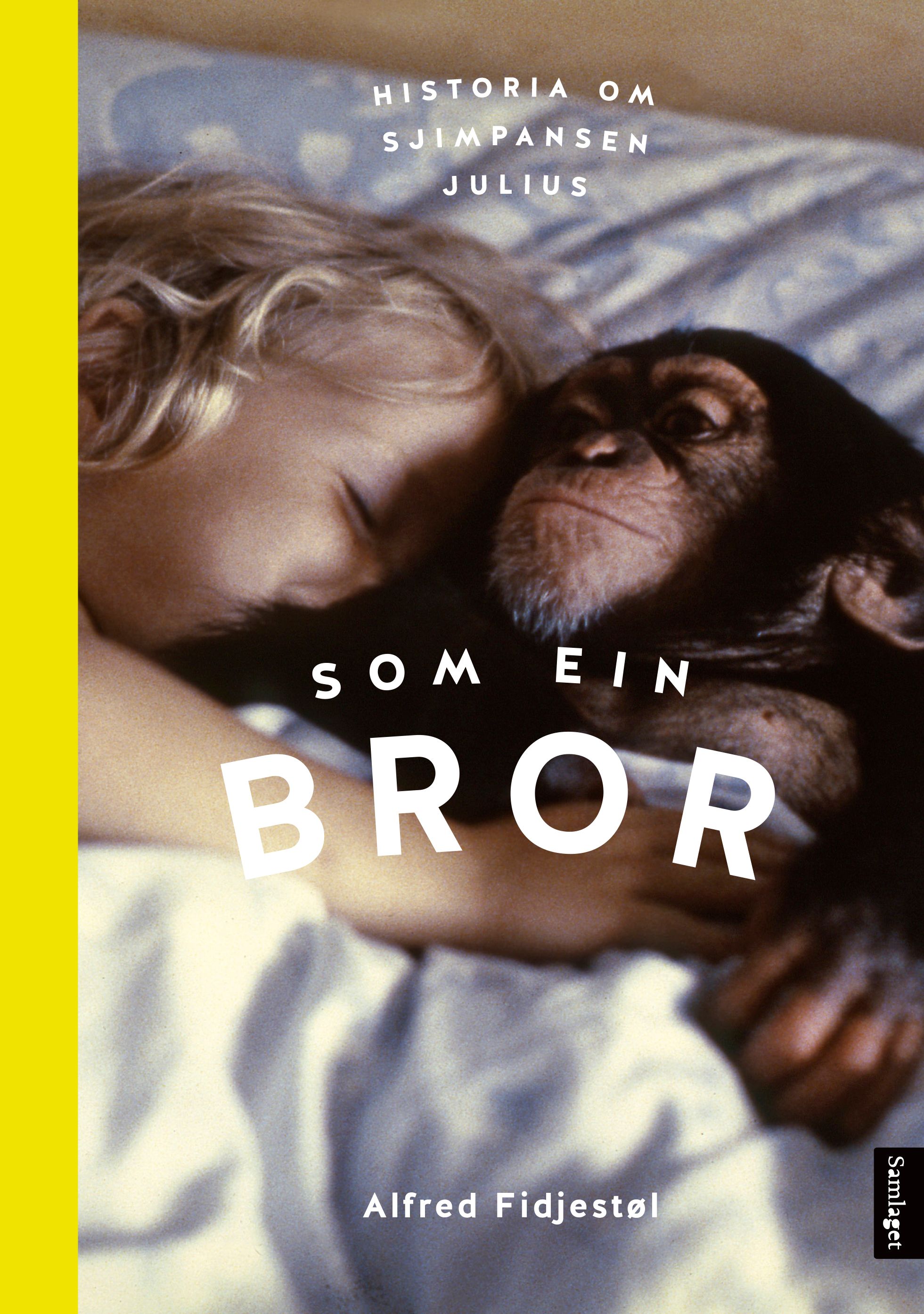 Som ein bror - historia om sjimpansen Julius