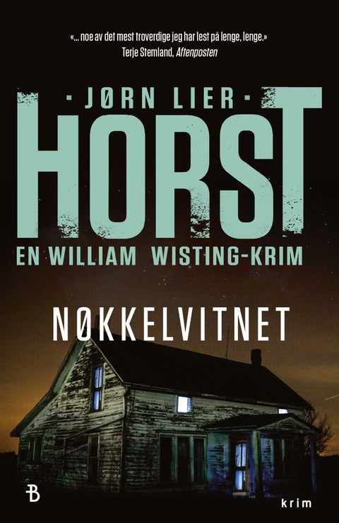Nøkkelvitnet - kriminalroman