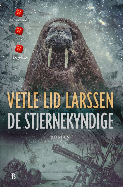 De stjernekyndige - roman