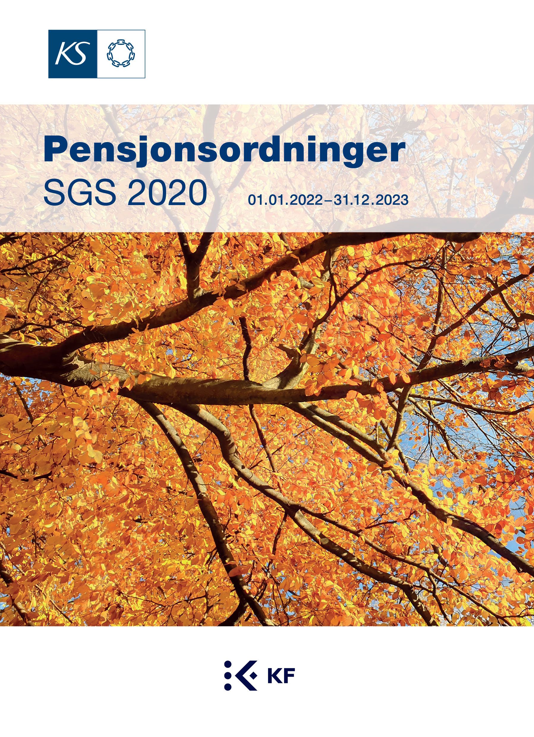 Pensjonsordninger - SGS 2020