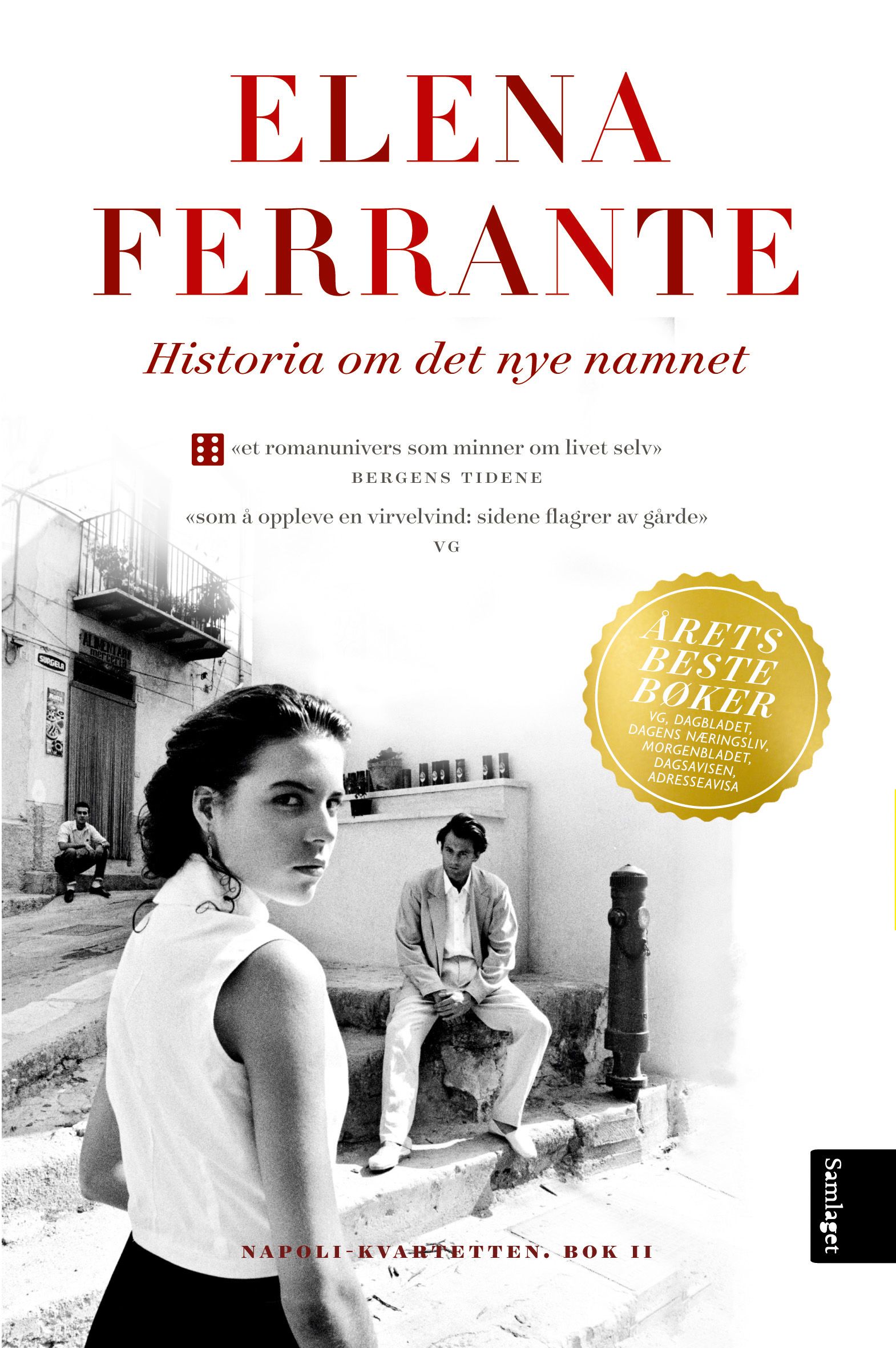 Historia om det nye namnet - unge år : roman