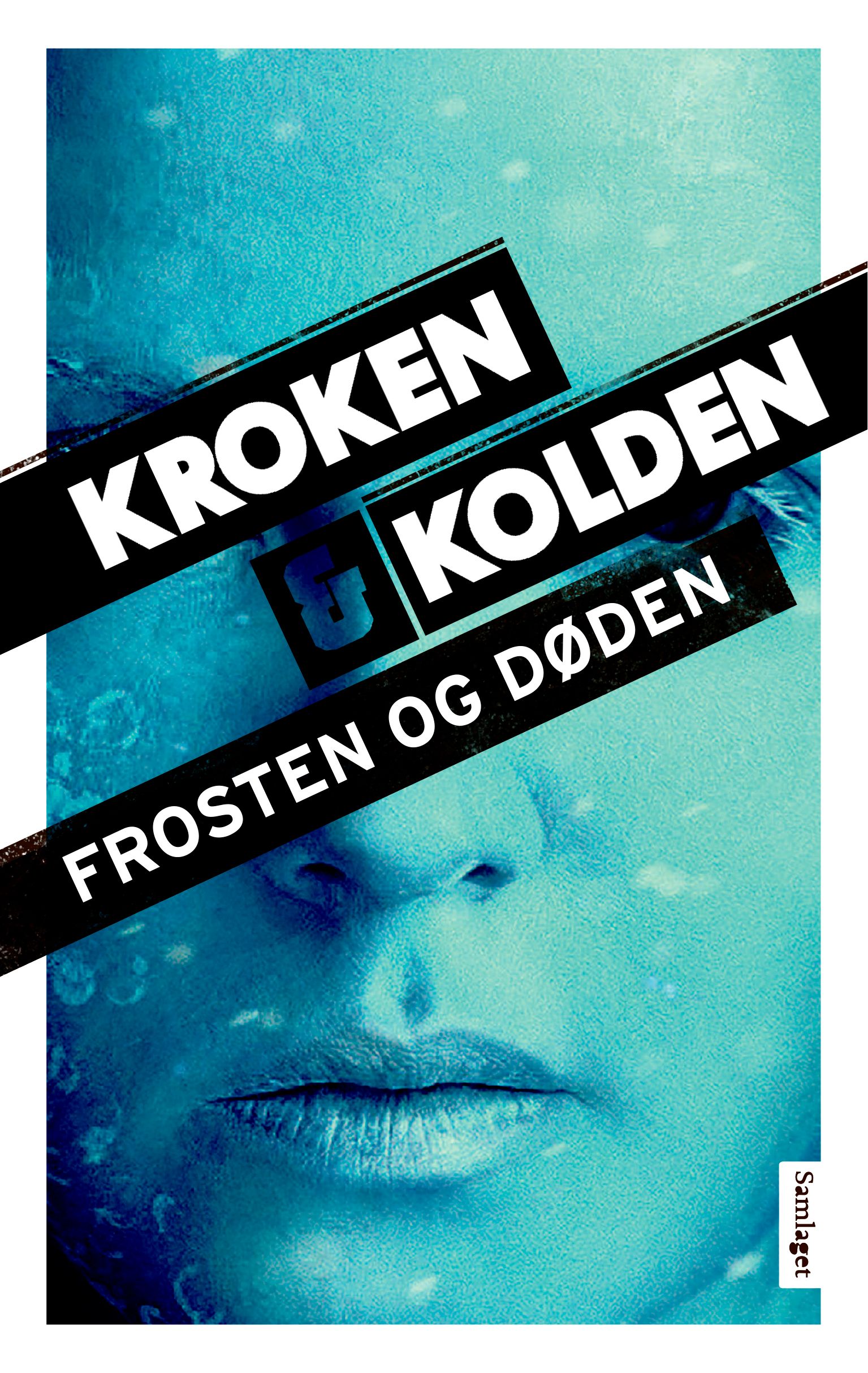 Frosten og døden - kriminalroman