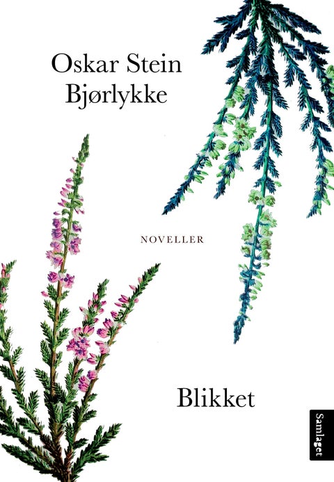 Blikket - noveller