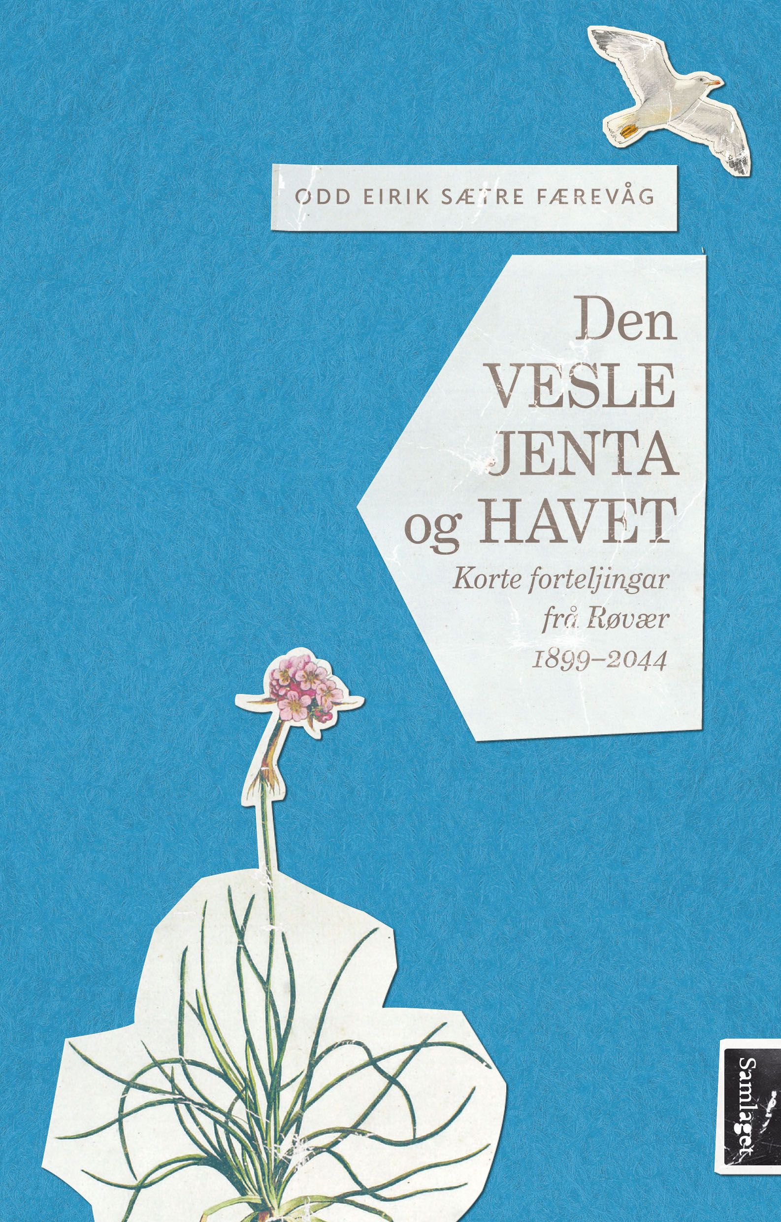 Den vesle jenta og havet - korte forteljingar frå Røvær 1899-2044