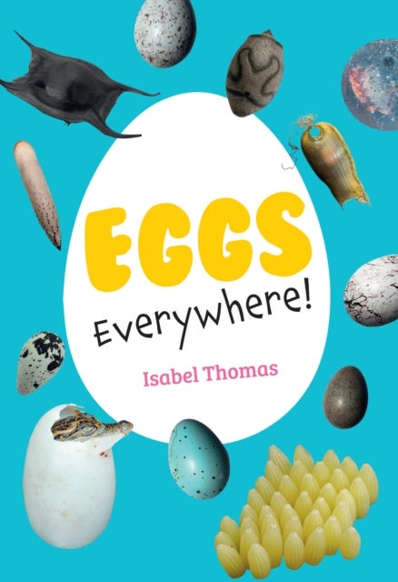 Eggs Everywhere! - Fluency 6