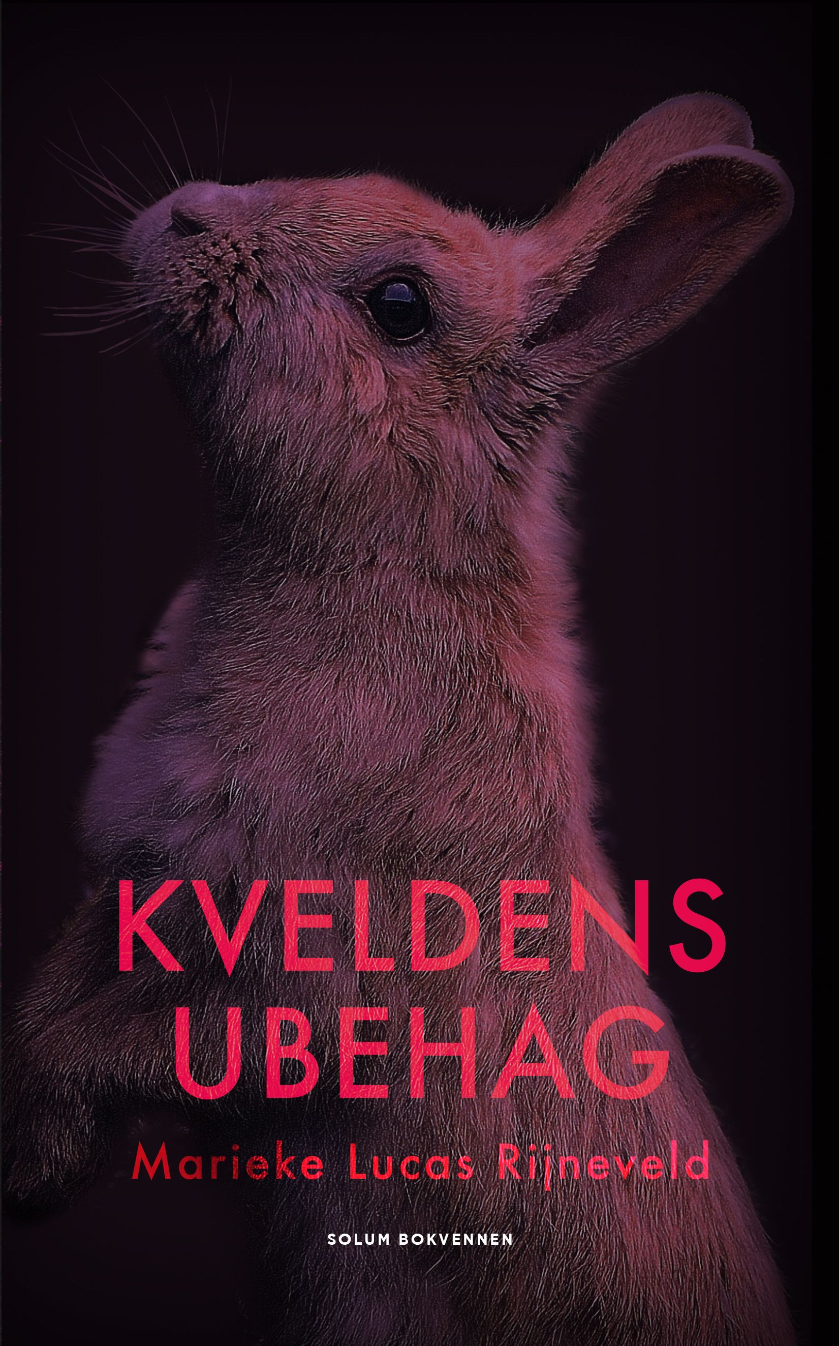 Kveldens ubehag - roman