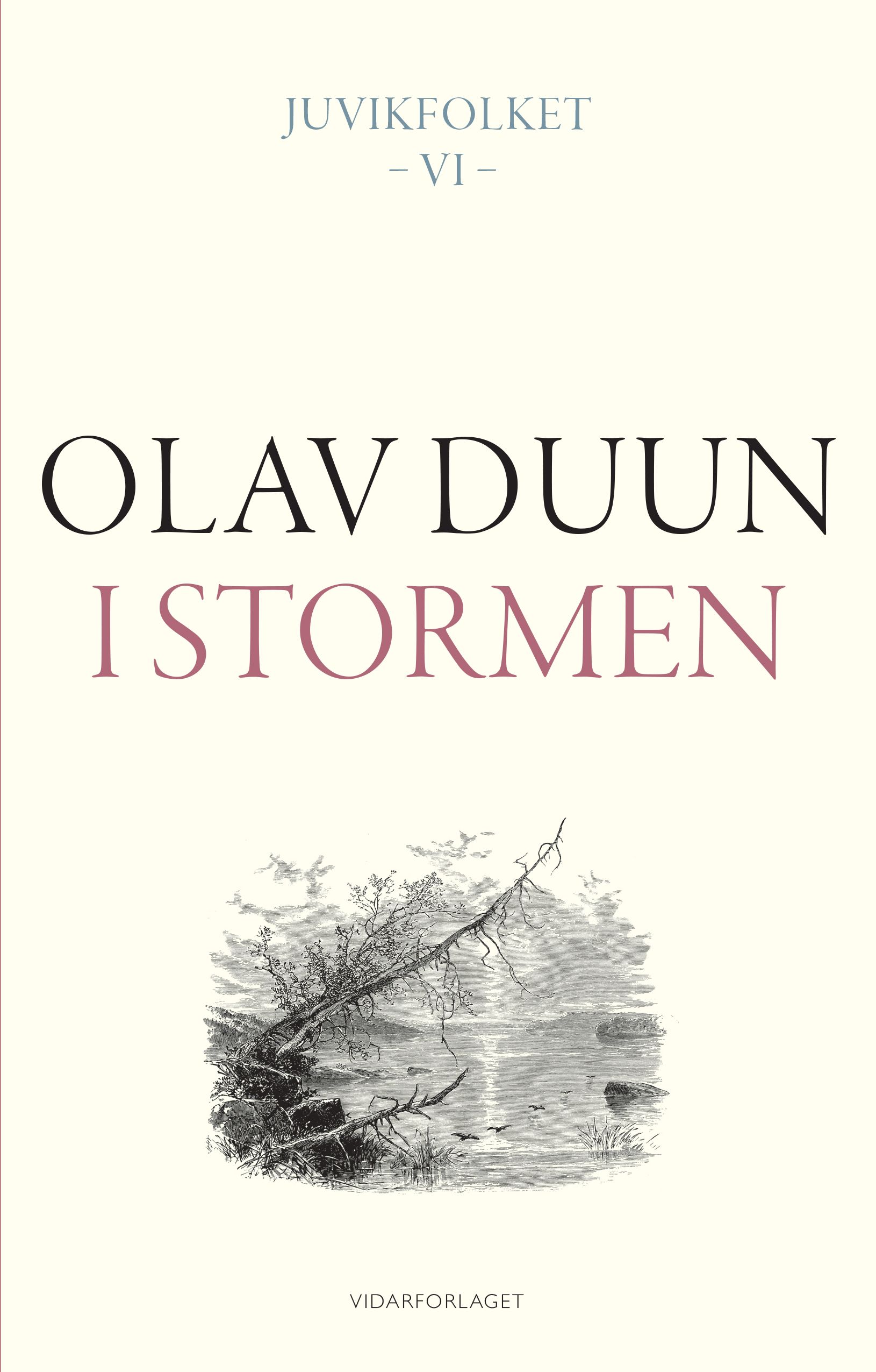 I stormen - roman