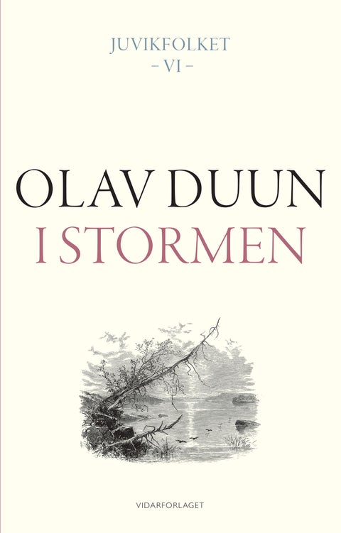 I stormen - roman