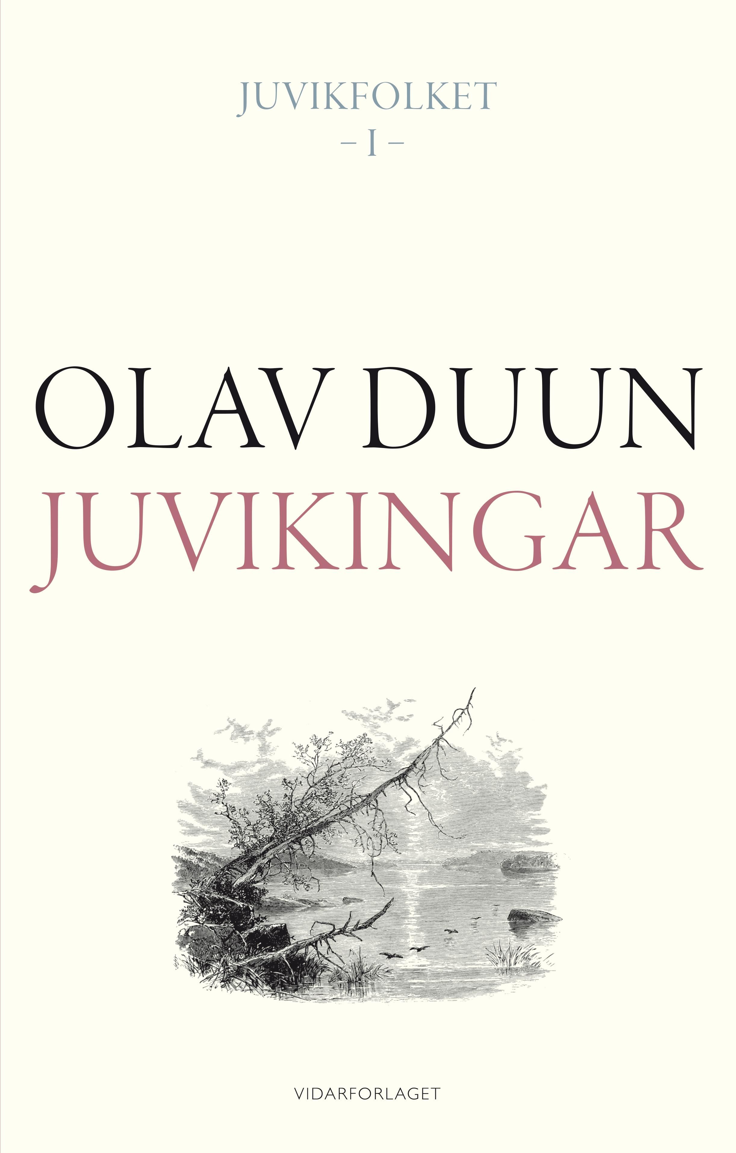 Juvikingar - roman