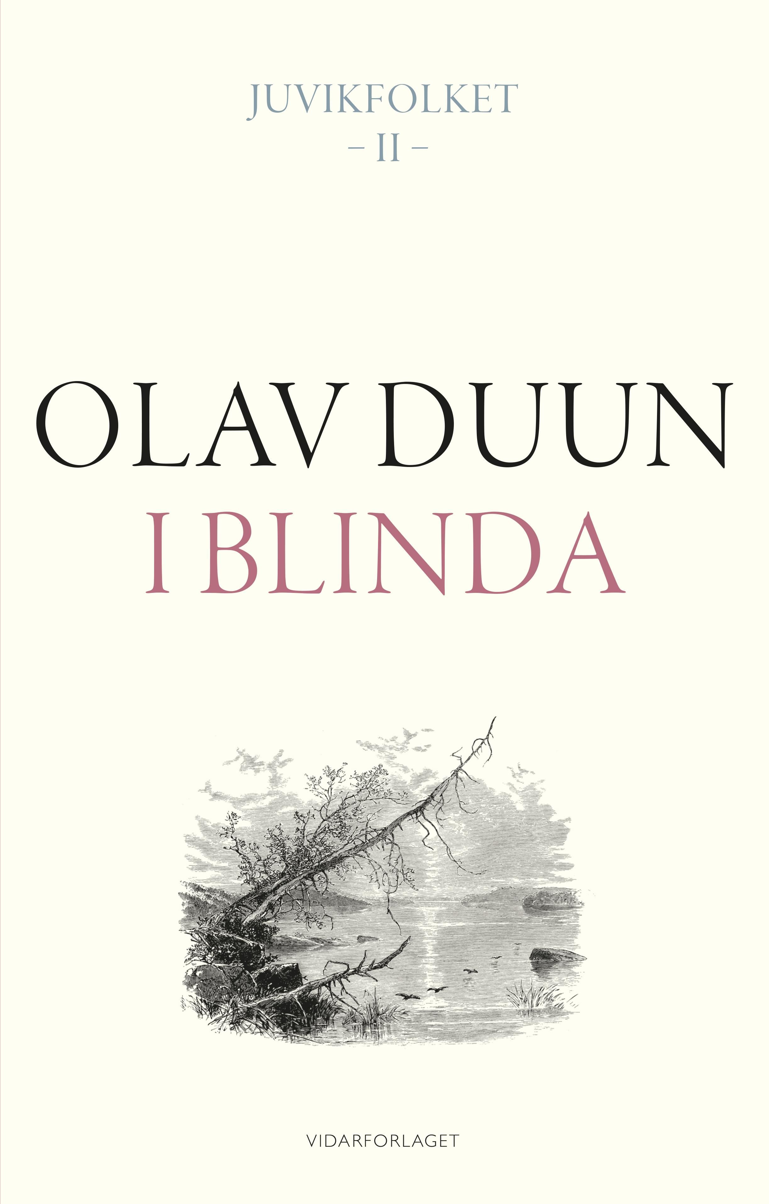 I blinda - roman