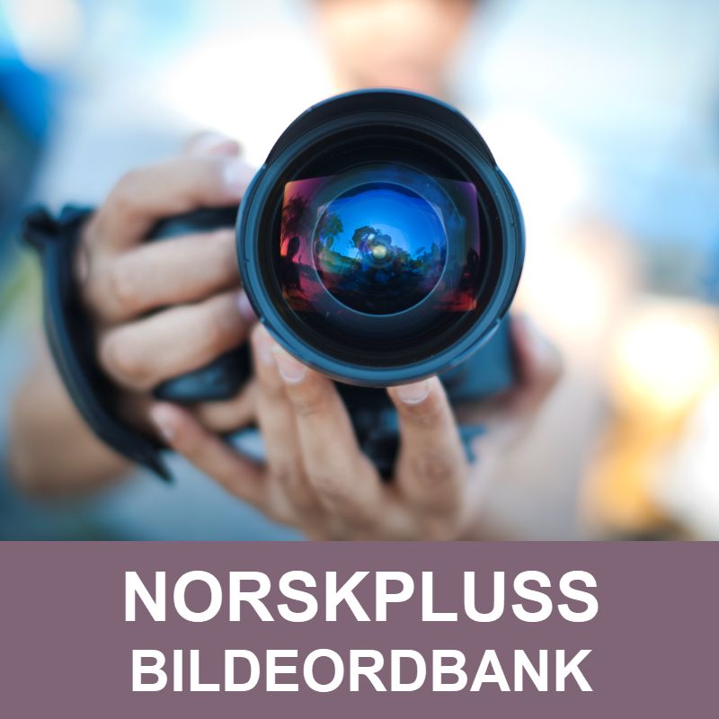 NorskPluss lydlære