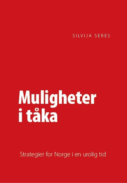 Muligheter i tåka - hvordan vi finner retning i en verden som endrer seg, og hvorfor vi må finne den selv