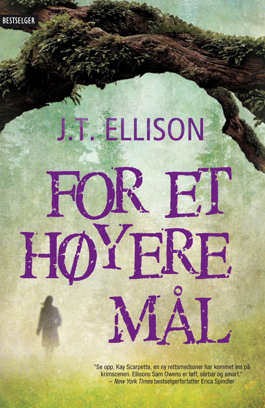 For et høyere mål - en Samantha Owens-krim