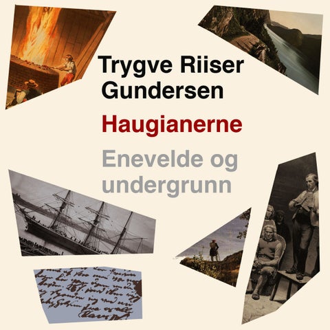 Haugianerne - Enevelde og undergrunn : 1795-1799