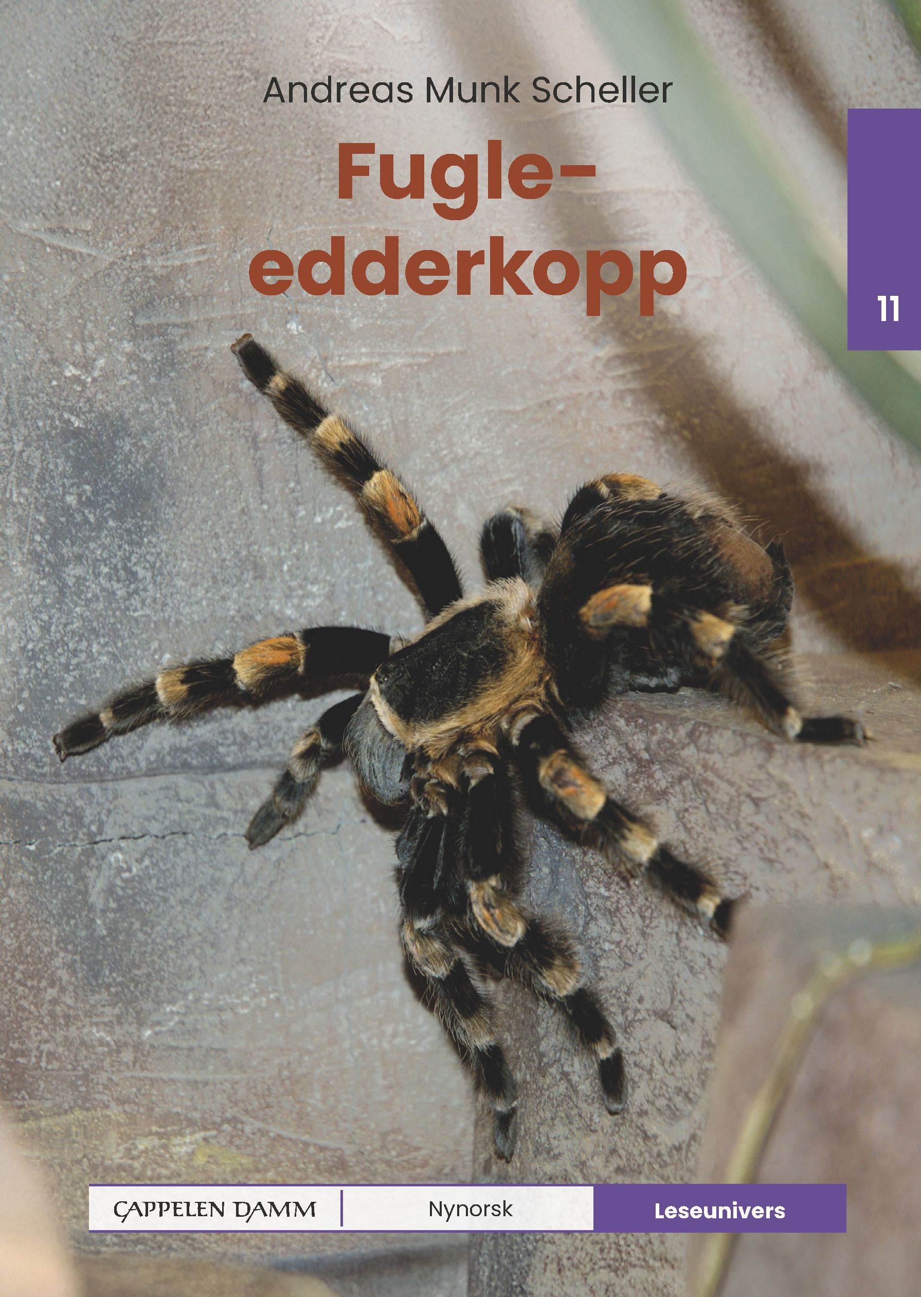 Fugleedderkopp