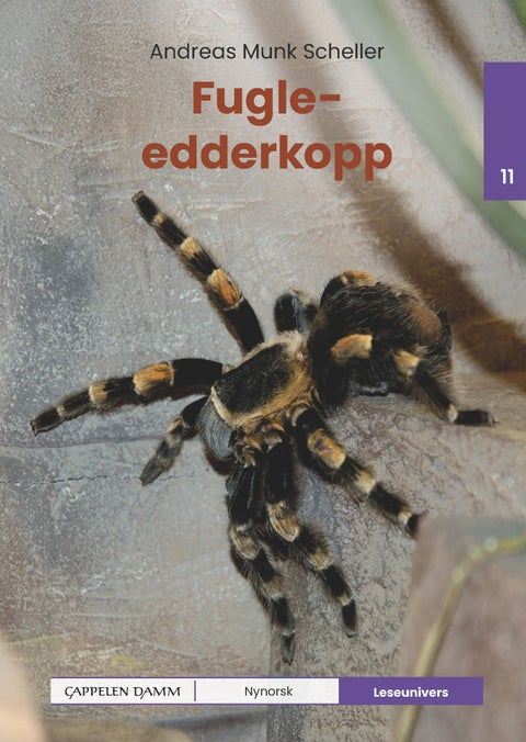 Fugleedderkopp